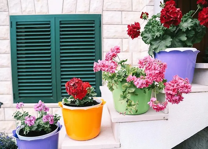 Lägenhet In With Sea View, Balcony, Air Conditioning, Wifi 4167-7